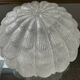 Vintage frosted glass wall or ceiling light