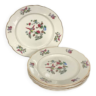 6 assiettes plates KG Lunéville Badonviller modèle Baléares