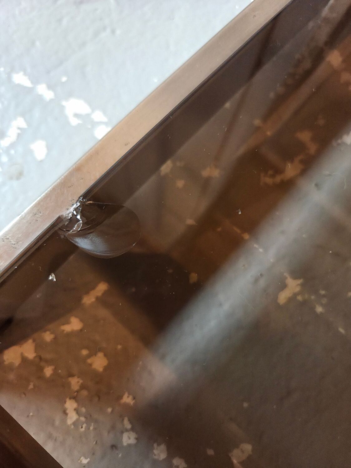 Stainless steel and smoked glass shelf