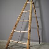 Fir and beech staircase