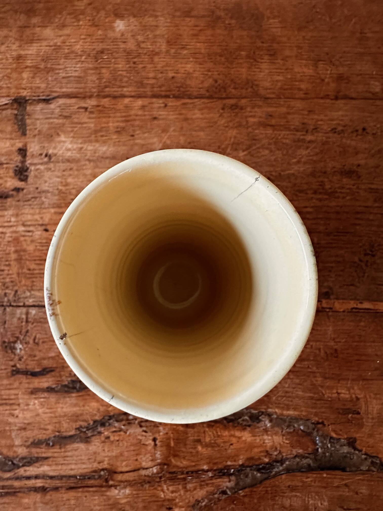 Bordeaux Art Ceramic Fish Vase