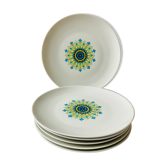 Lot of 6 plates 70s floral winterling marktleuthen bavaria-reto-cuisine