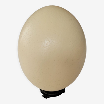 Ostrich egg with support