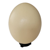 Ostrich egg with support