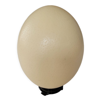 Ostrich egg with support