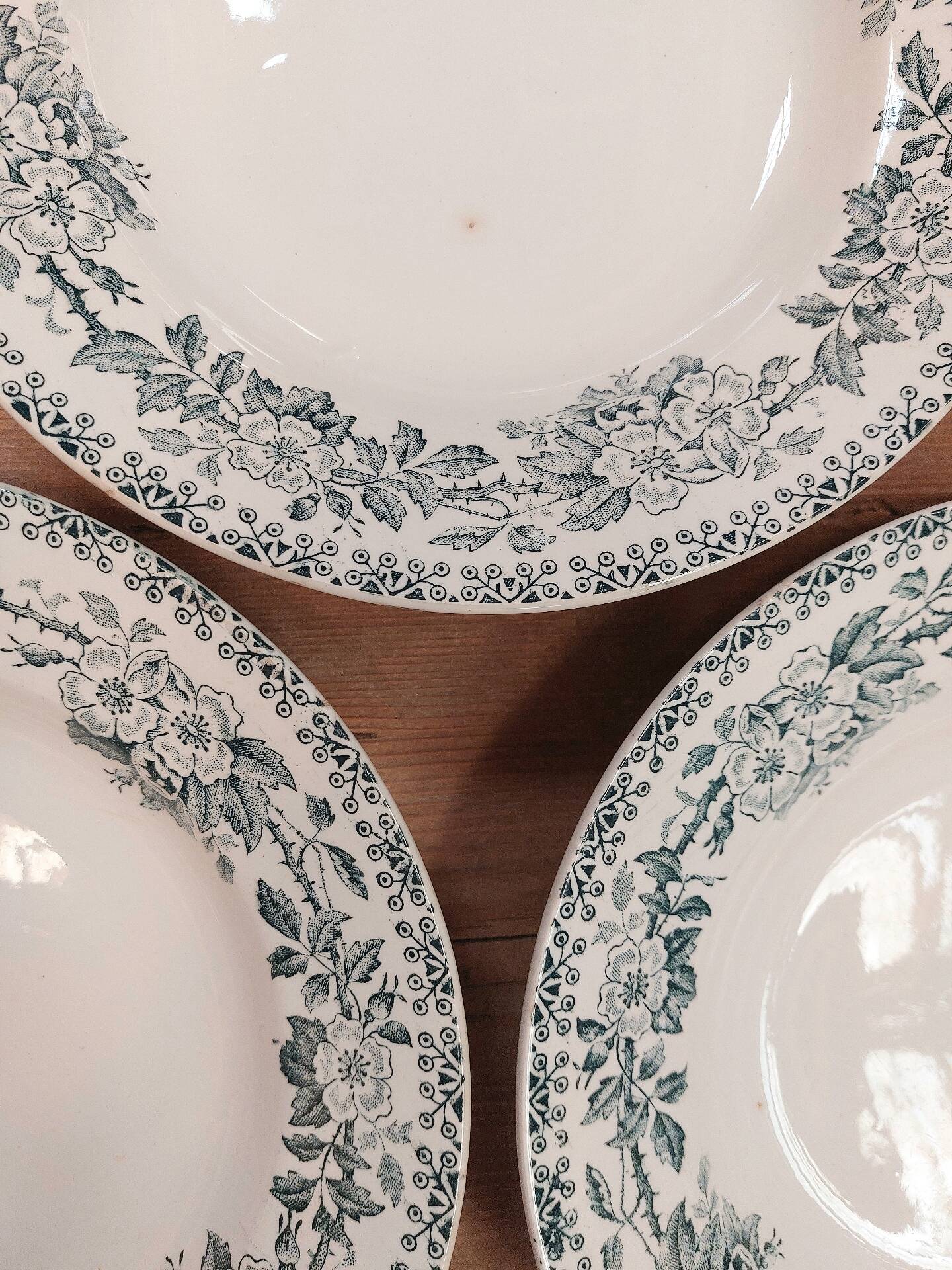 Set of 6 deep plates in ironstone - Guadeloupe model