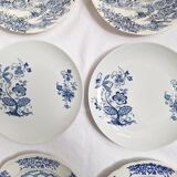 Vintage blue dinner plates