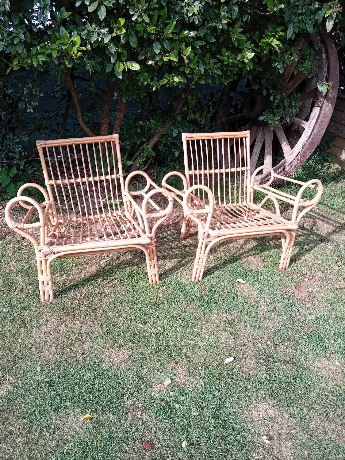 Set of 2 rattan armchairs