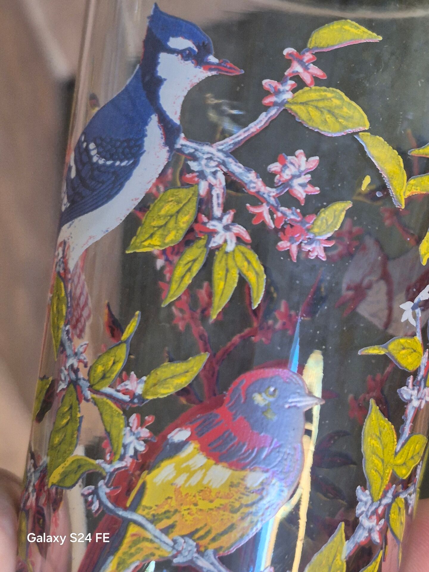 Verres oiseaux