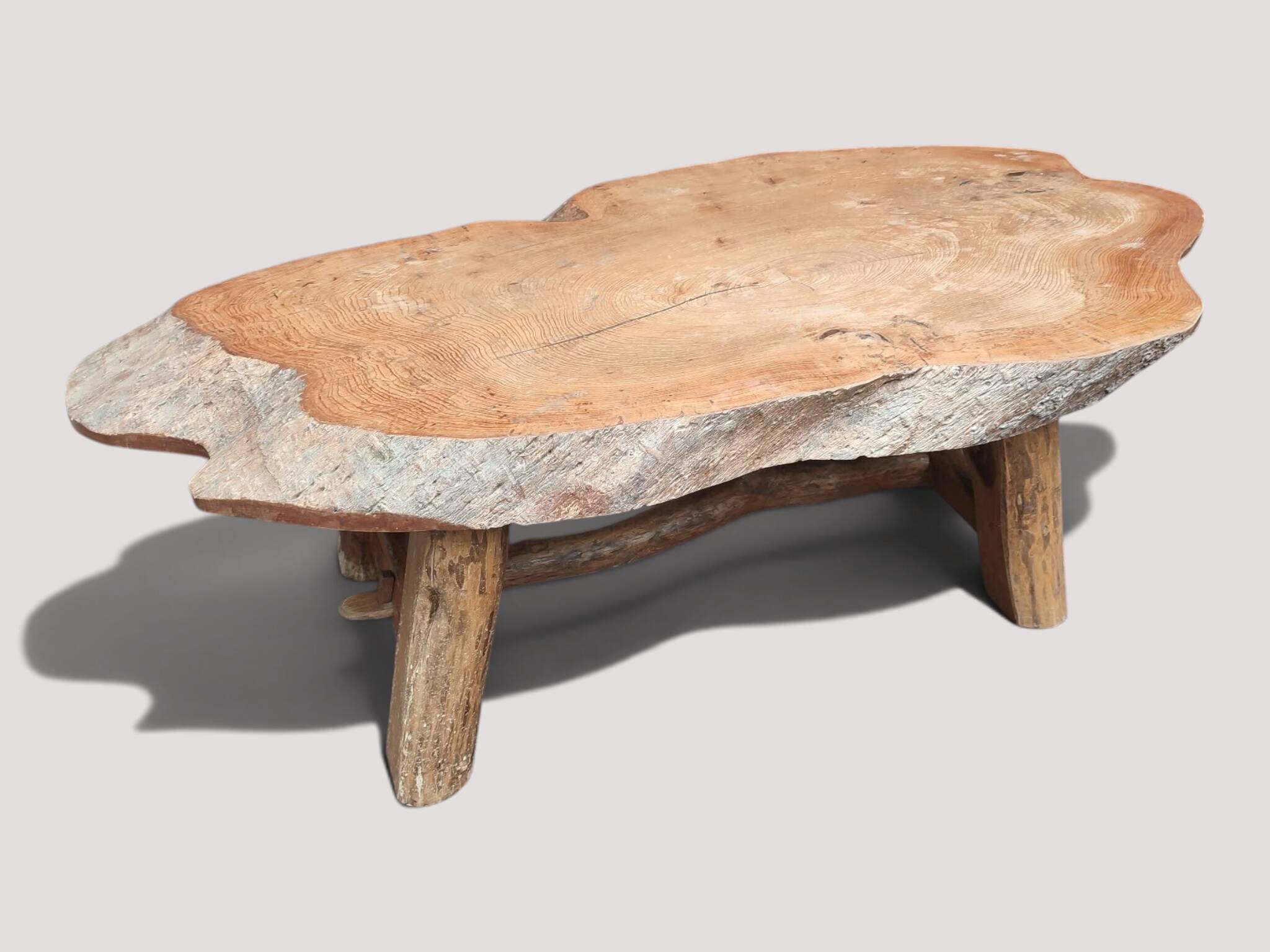 Solid wood coffee table - Section/cross-section of a century-old tree.