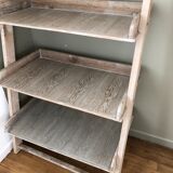 Ladder shelf