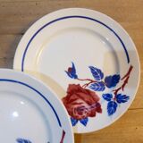 4 flat plates K-G model Chantal