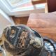 Czechoslovakian black industrial lamp from the 40s/50s called Bauhausde