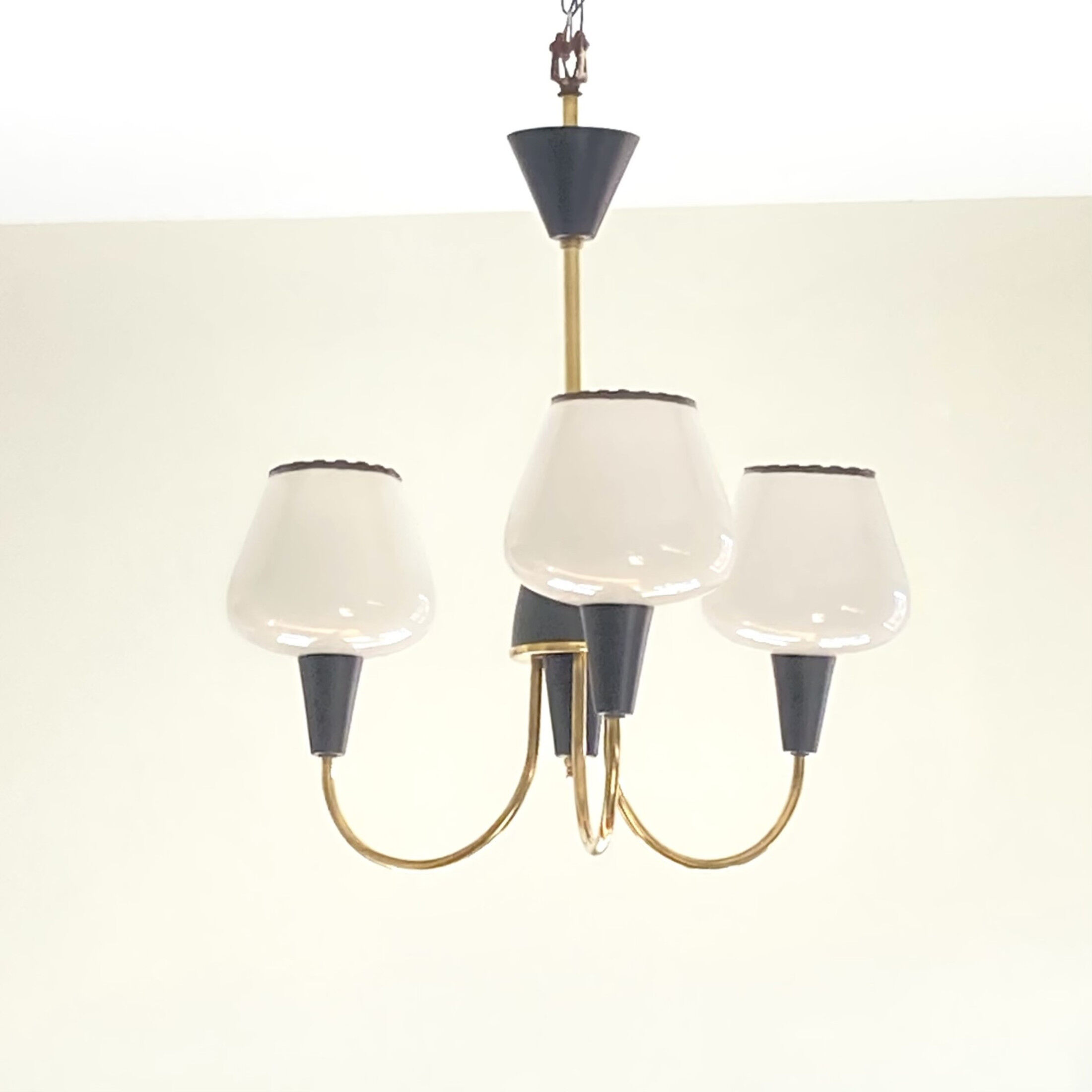 Brass chandelier and black metal tulips in white opaline glass 1950 1960 vintage suspension