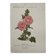 Botanical Plate 1800 Old Naturalist Engraving 19th Century Double-Sided