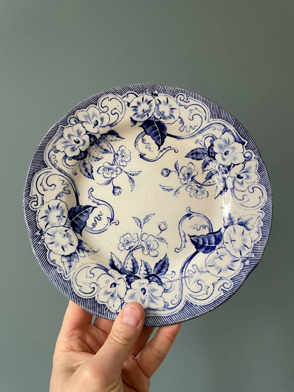 Series of 9 Creil Montereau plates, Flora model