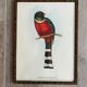 Framed bird engraving