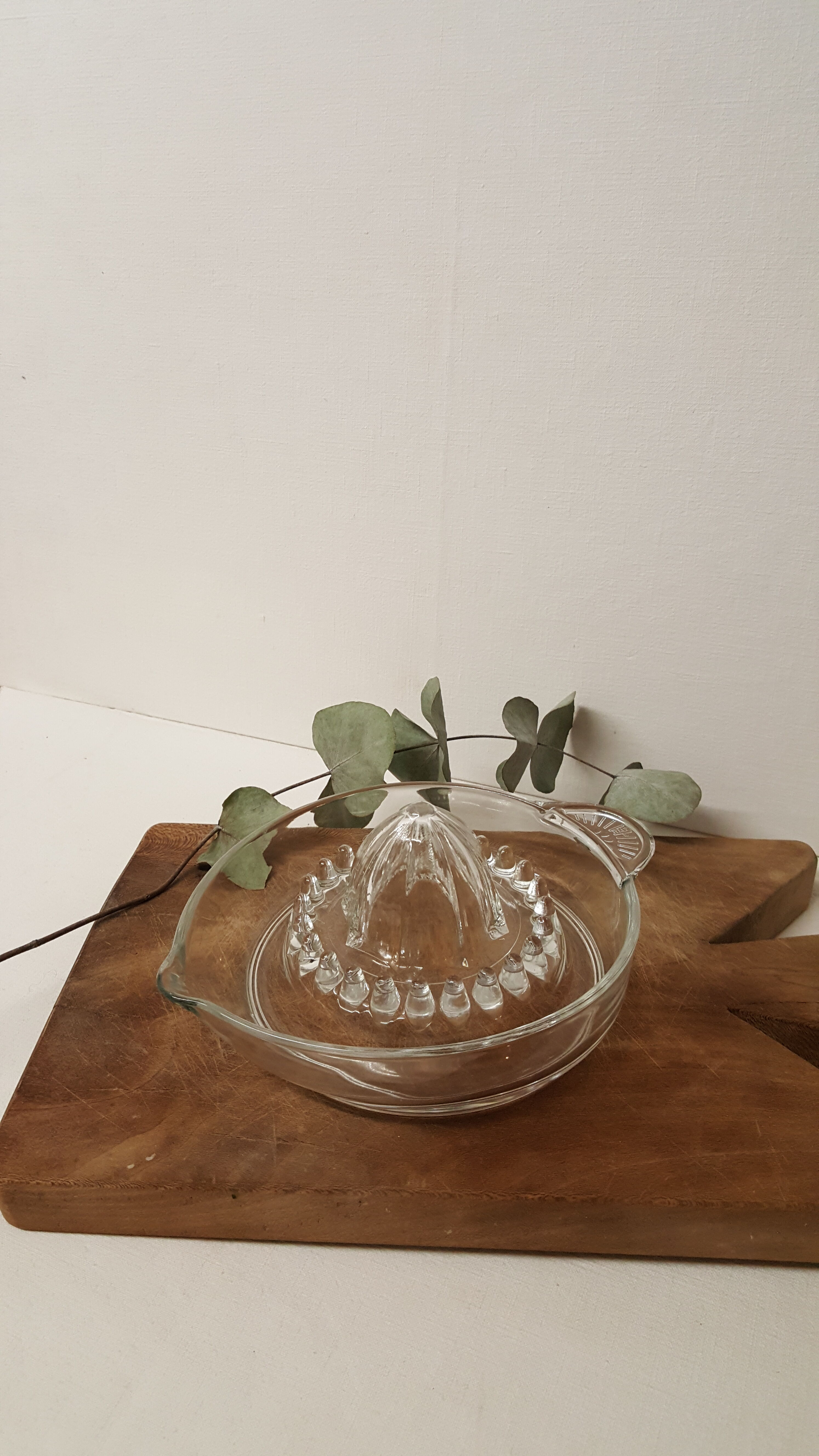 Large glass citrus press