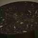 Coffee table with fossil limestone top by Metaform Holland, 1980s