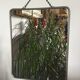 Barber mirror 30 x 24.5 cm