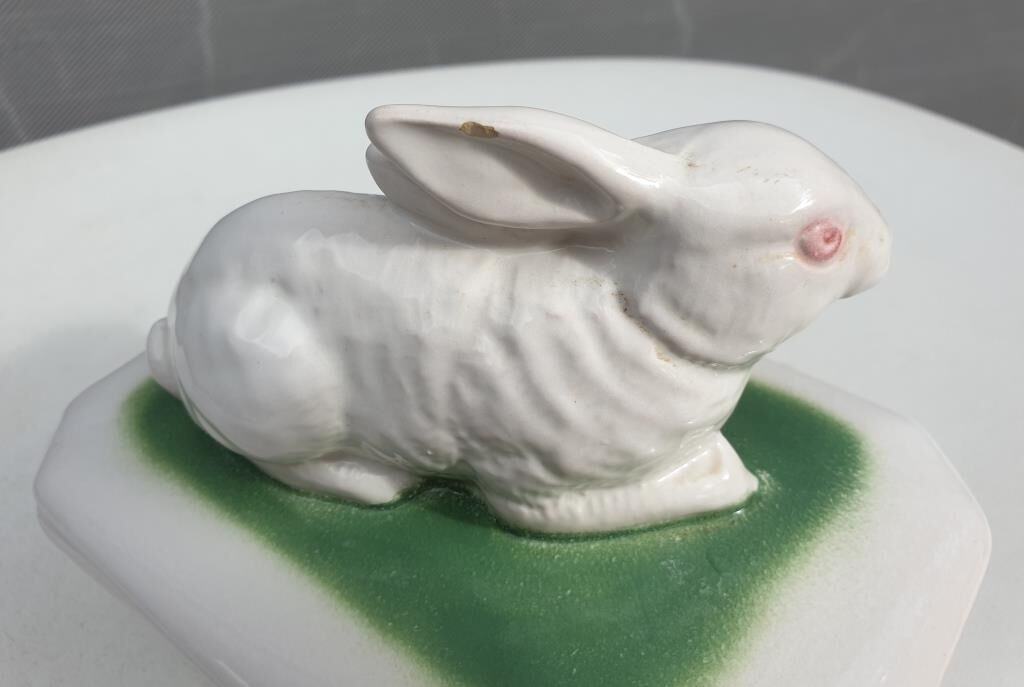 Pot terrine rabbit of Bavent in white earthenware on square of greenery