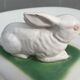 Pot terrine rabbit of Bavent in white earthenware on square of greenery