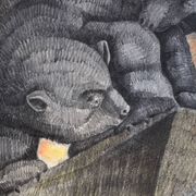 Louis Arnaud, Deux ours sur une roche  (vers 1960)