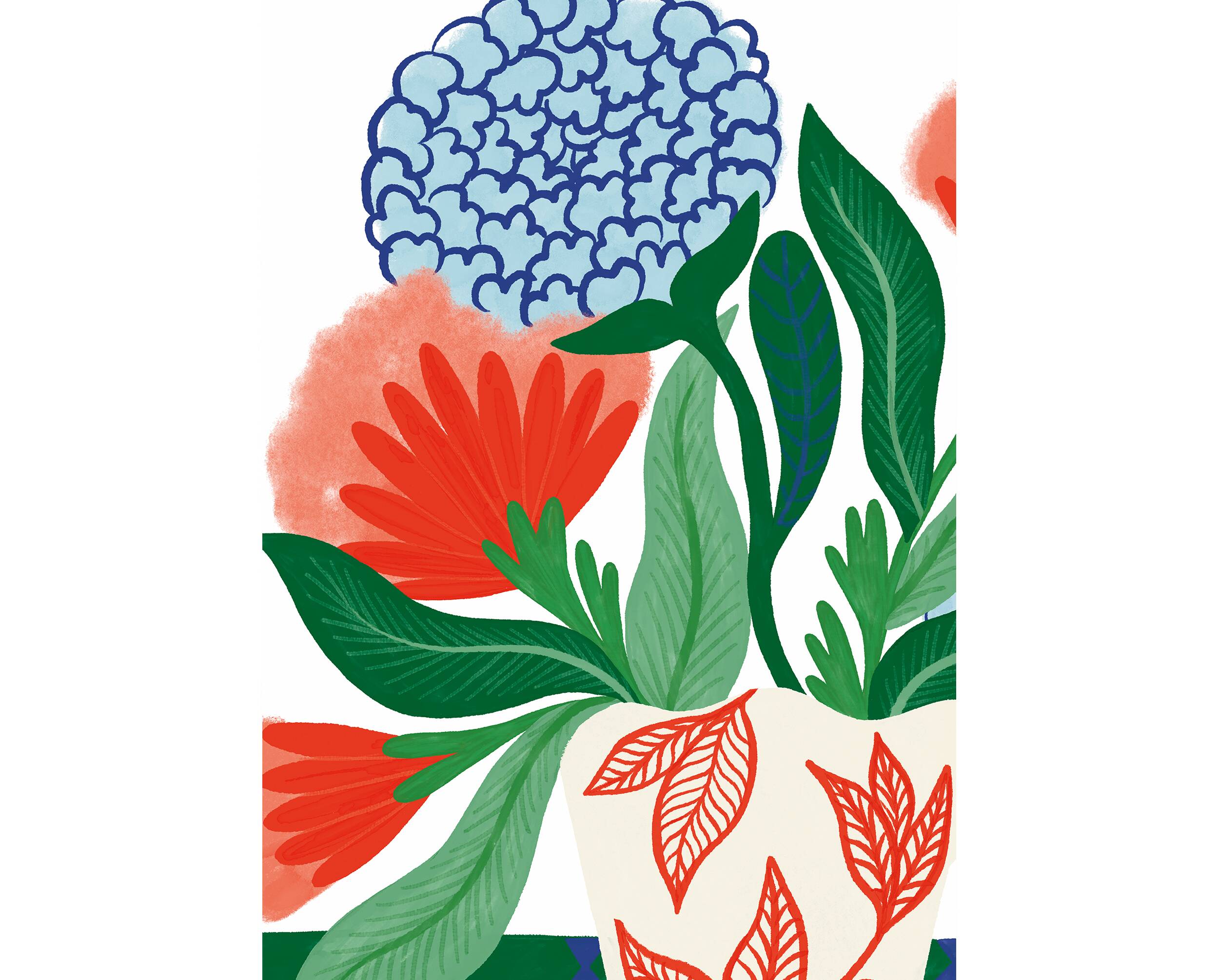 BIRD - A4 illustration