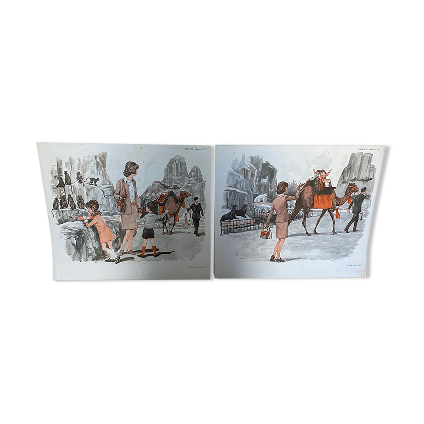 Affiche zoo, oiseaux