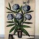 Tapestry Hortensias Bernard Buffet 70s