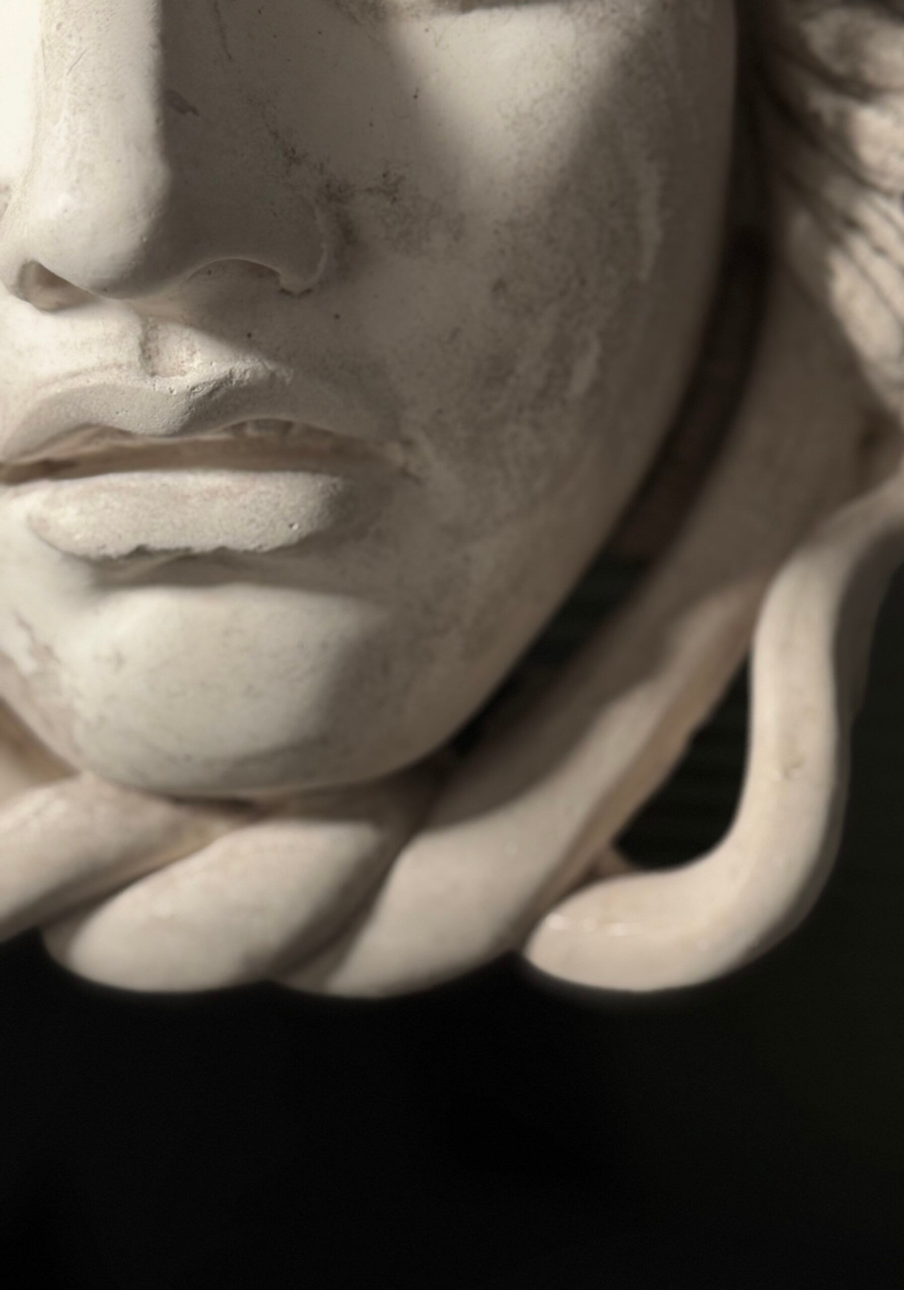 Medusa wall decoration plaster