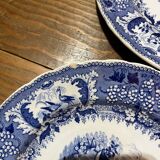Lot de 12 assiettes David Johston XIXe siècle