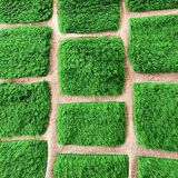 Handmade pure wool rug, traditional green, size 150 x 250 cm