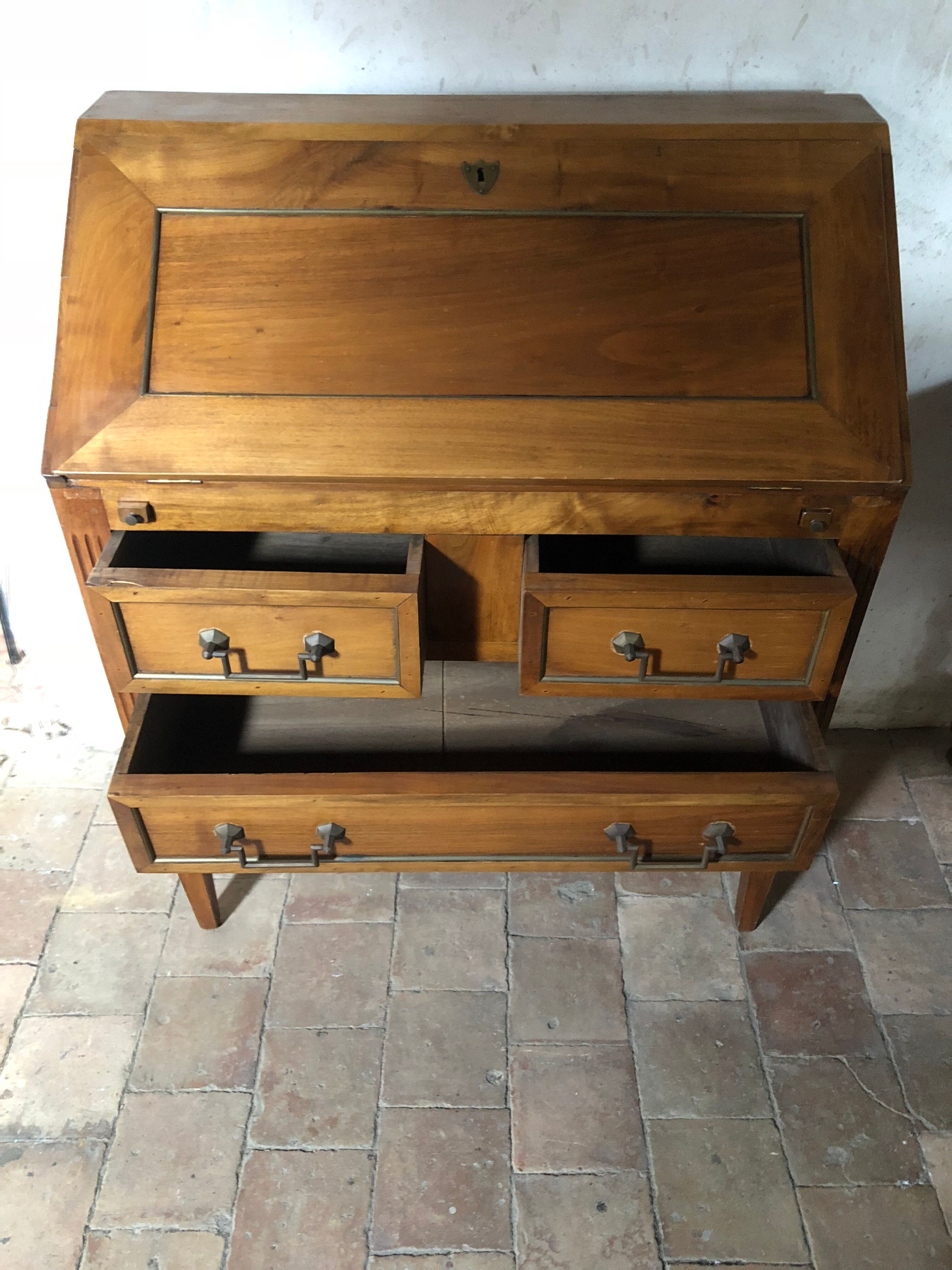 Secretary donkey back