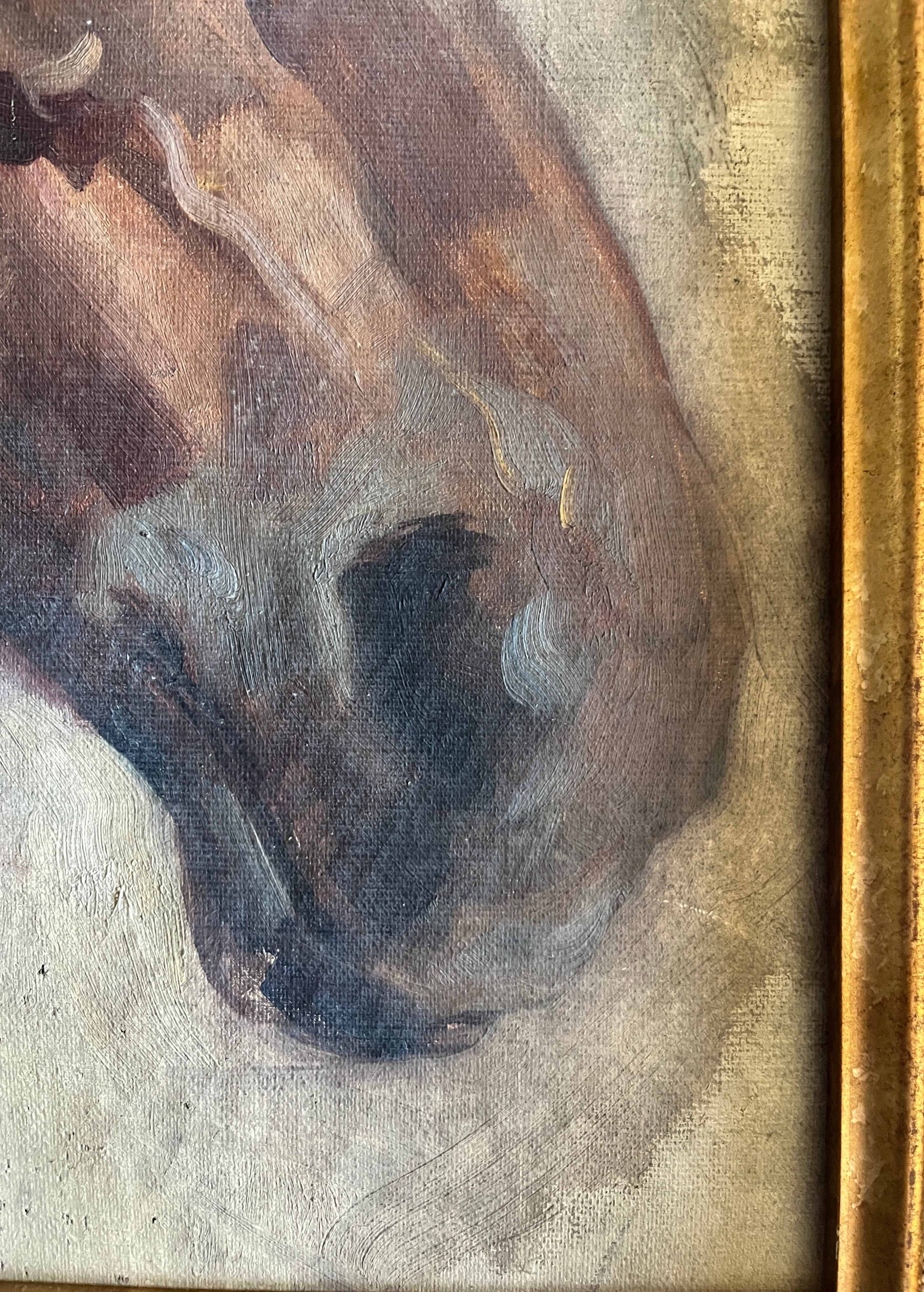 Tableau HST/P "Etude de tête de cheval" éc. début XX°