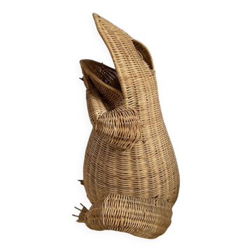 Willow frog Olivier Cajan