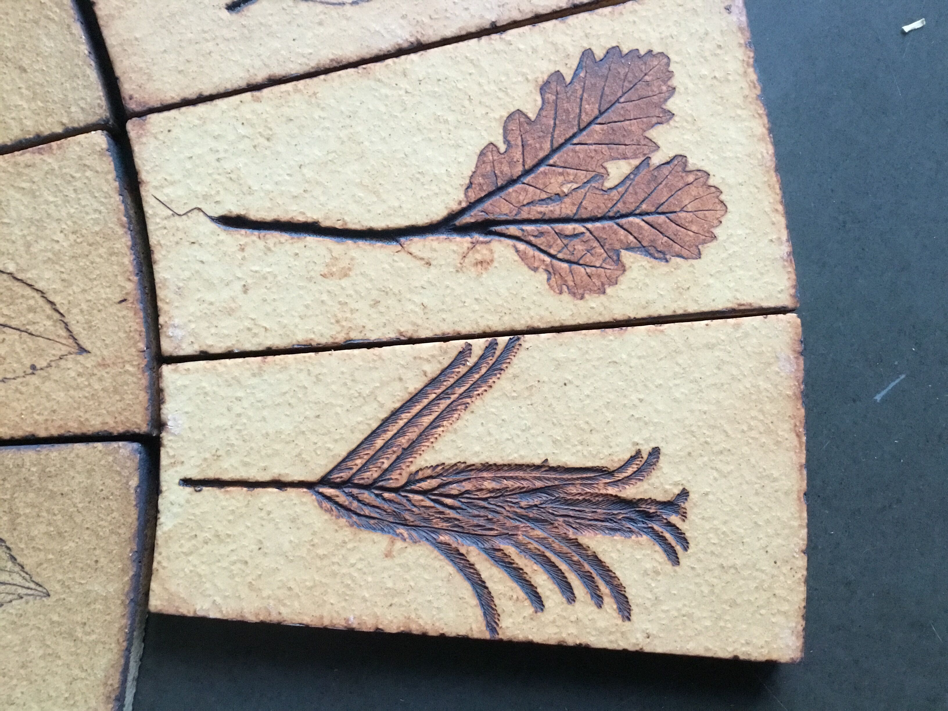 Carreaux herbier Roger Capron