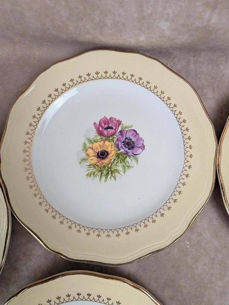 Set of 10 vintage dessert plates L’amandinoise Coopélia