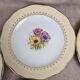 Set of 10 vintage dessert plates L’amandinoise Coopélia