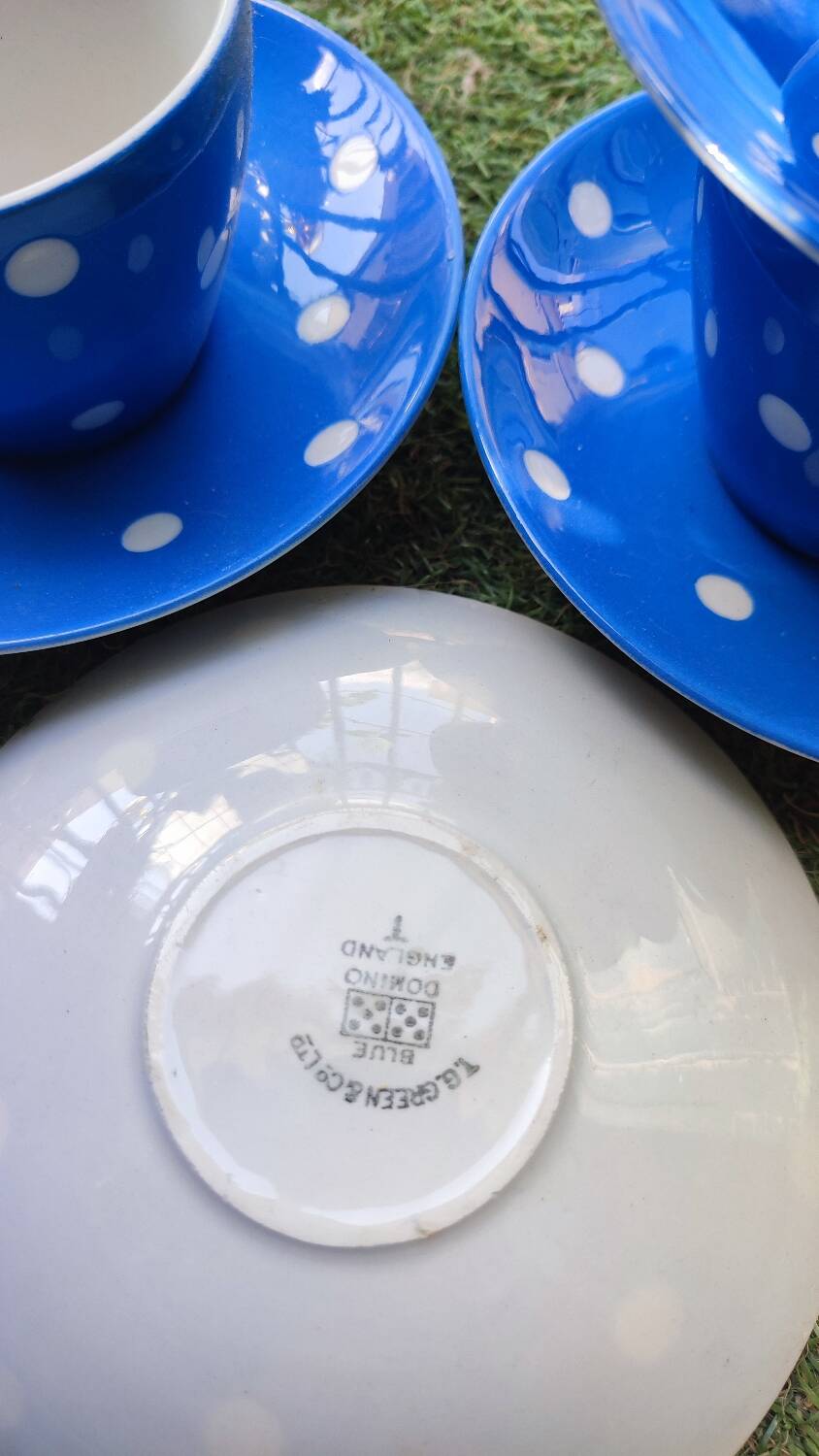 Set of 6 TG Green English Tea Cups