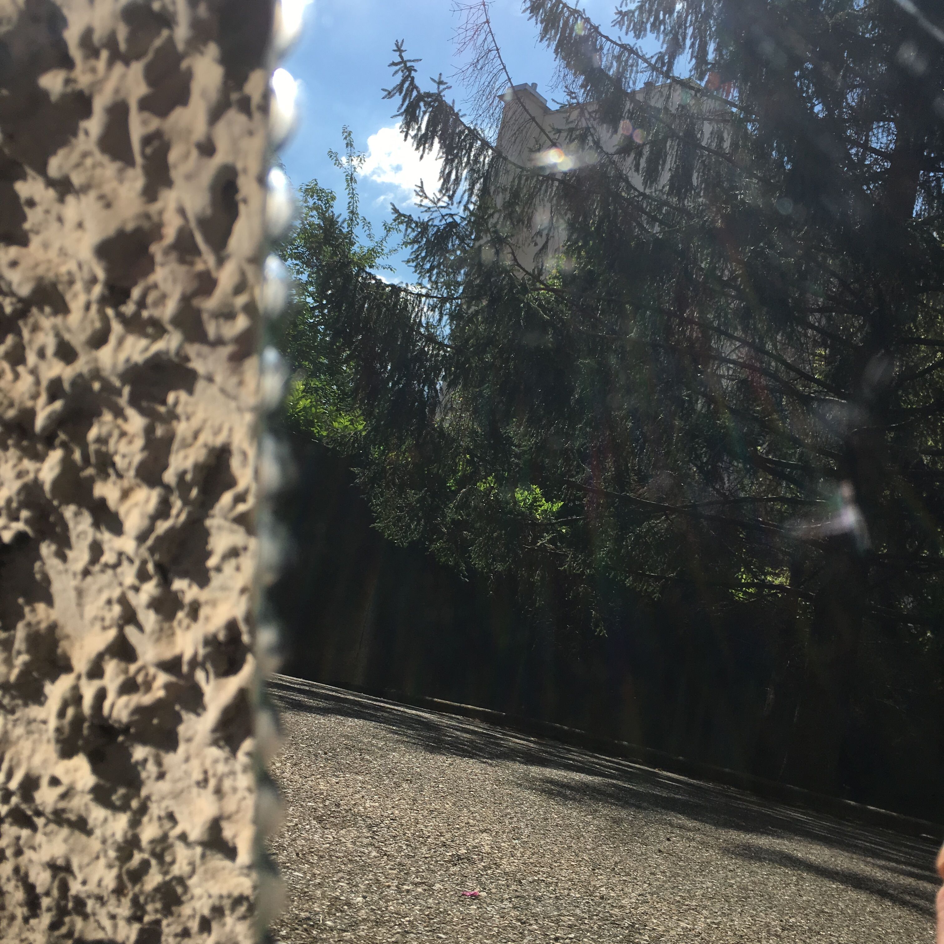 Long oval beveled mirror 60x17cm