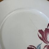 Badonvillier flat plates