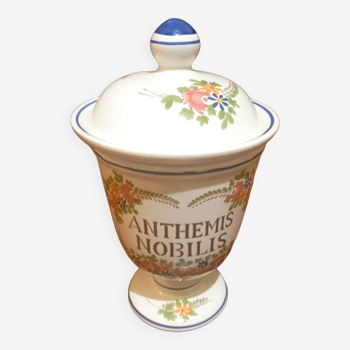 Anthemis nobilis apothecary pot st clement earthenware