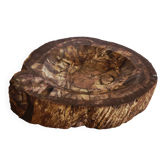 Vide Poche Pierre Arbre Fossilisé Fossile Section 1,66 Kg