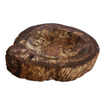 Pocket Video Pierre Fossilised Tree Fossil Section 1.66 Kg