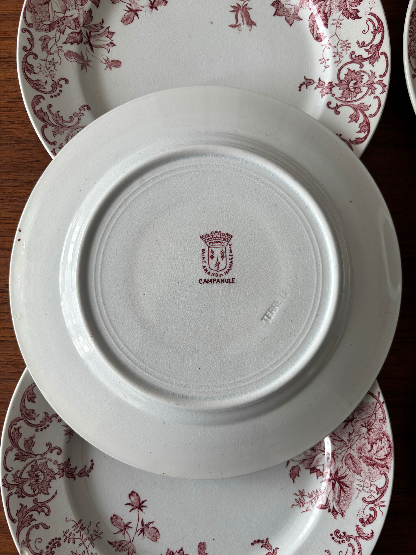 Lot de 6 assiettes à dessert Terre de Fer rose St Amand Hamage modèle