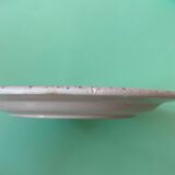 Lot of 10speckled pastel plates quadrifoglio