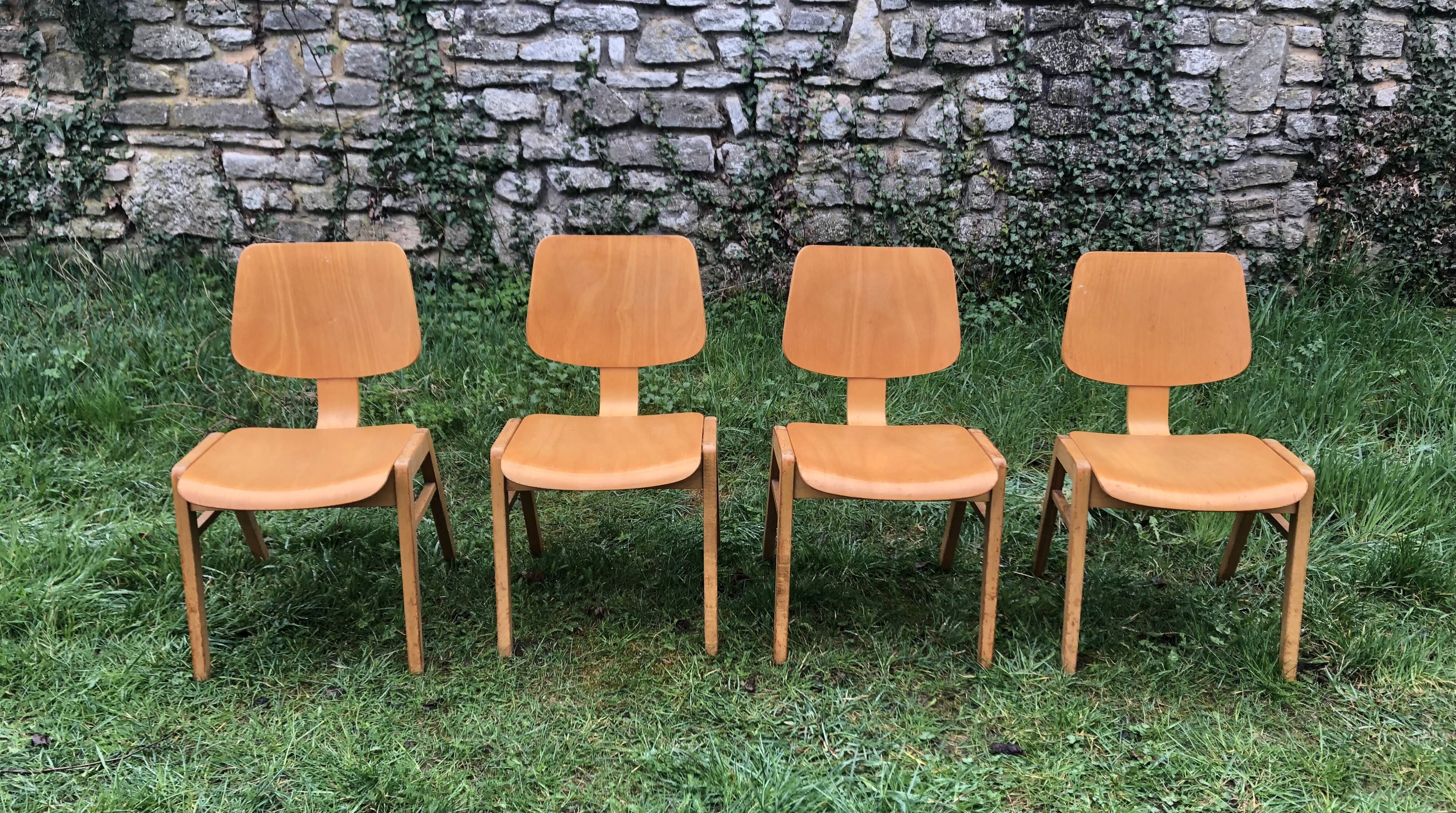 Dining chairs in vintage beech 60s