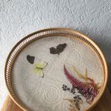 Plateau and under butterfly glass