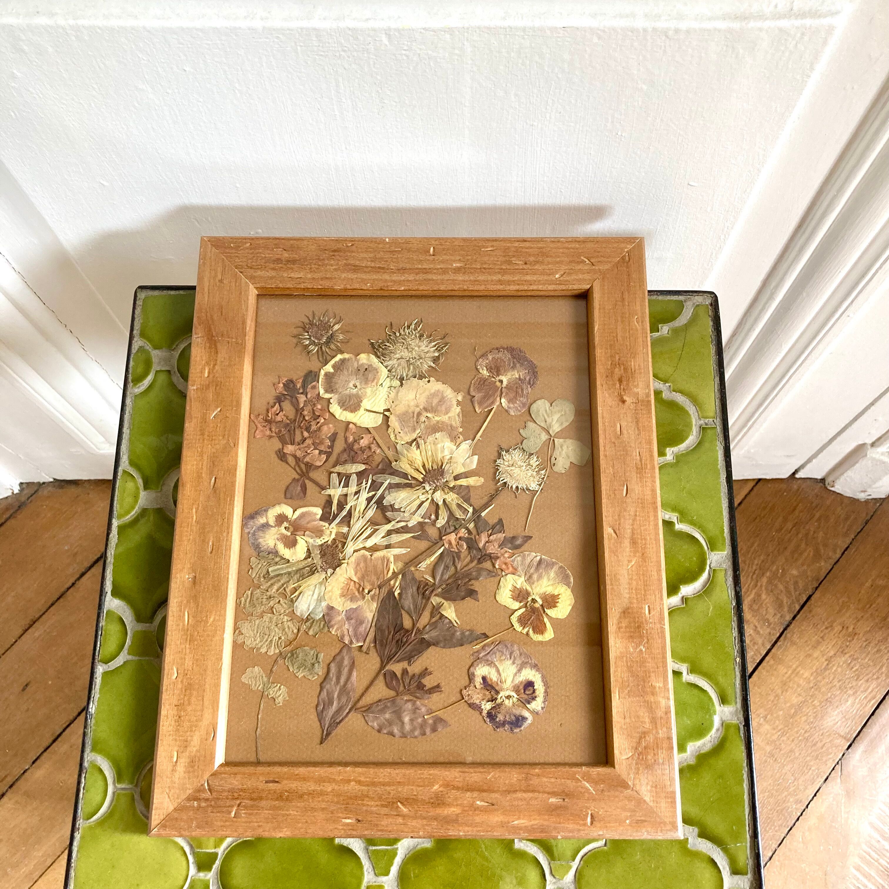 Herbarium frame